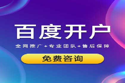 电商行业SEM运营的挑战与成功案例